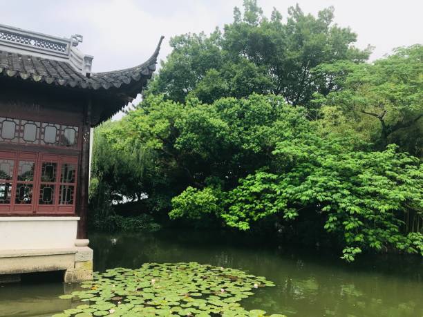istock Lakeside buildings and lotus leaves 2154413984