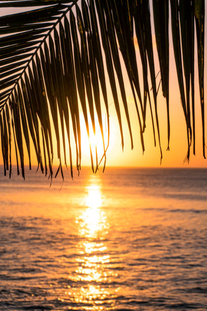 istock Summer vibes in Bali Travel Destinations 2154414062