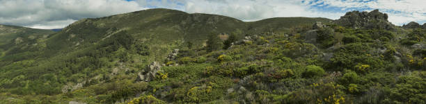 istock landscape, view, nature, spring, green, spain, flora, plants, beautiful, mountains, 2154414796