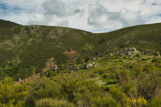 istock landscape, view, nature, spring, green, spain, flora, plants, beautiful, mountains, 2154414810
