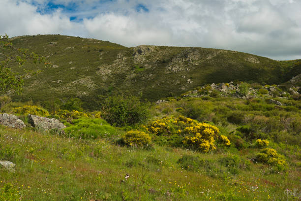 istock landscape, view, nature, spring, green, spain, flora, plants, beautiful, mountains, 2154415205