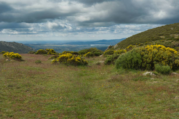istock landscape, view, nature, spring, green, spain, flora, plants, beautiful, mountains, 2154415214