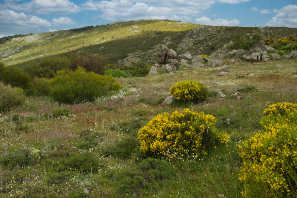 istock landscape, view, nature, spring, green, spain, flora, plants, beautiful, mountains, 2154415220