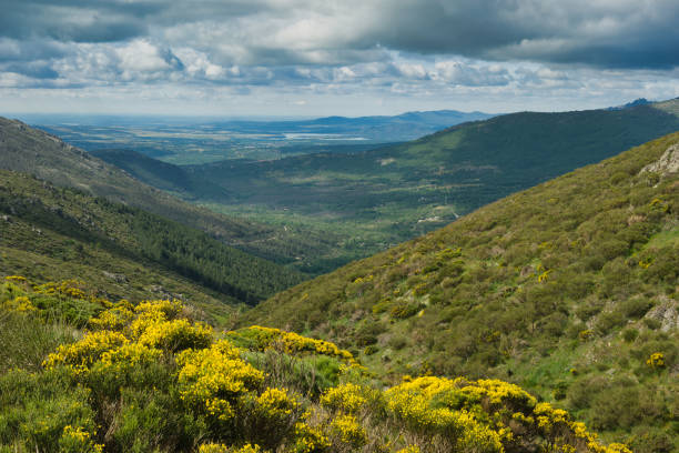 istock landscape, view, nature, spring, green, spain, flora, plants, beautiful, mountains, 2154415227