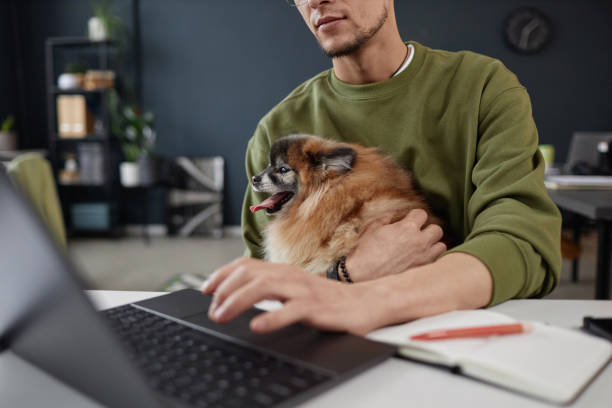 istock Close Up of Man Holding Dog in Lap Using Computer 2154415731