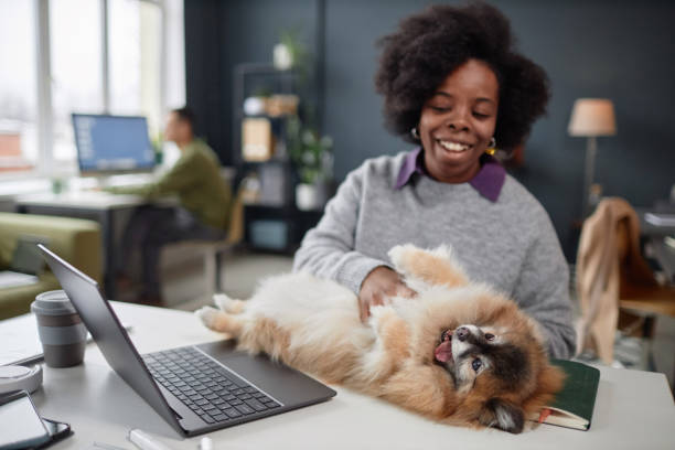 istock Black Woman Playing with Dog in Pet Friendly Office 2154415746