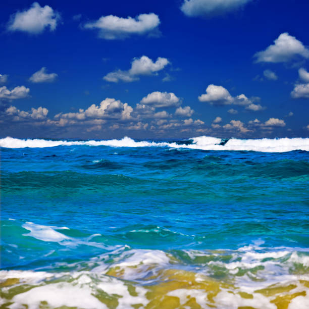 stormy sea coast under a cloudy sky