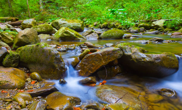 small mountain brook flow over a stones