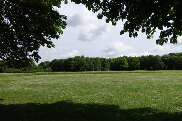 istock Clearing lined with trees in the Paris region 2154425436