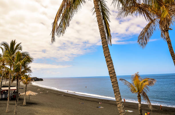 istock A beach with palm trees and a clear blue sky 2154427132