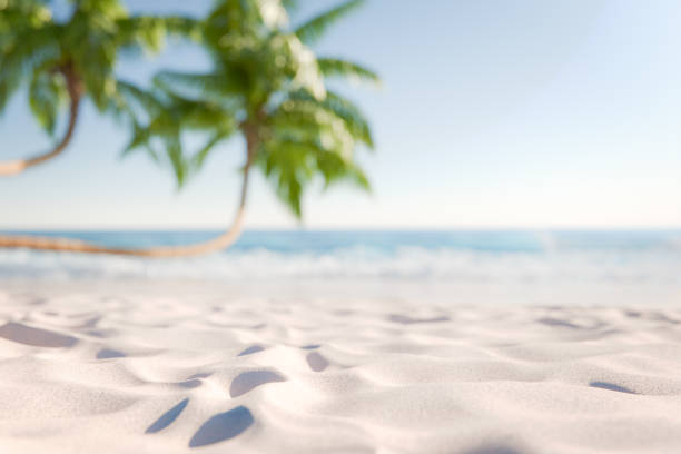 istock Blurred tropical beach with palm trees and sand, summer background 2154427295