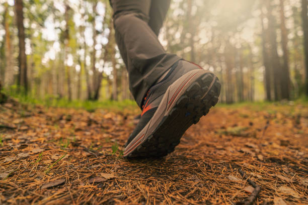 istock foot steps in the country side 2154428943