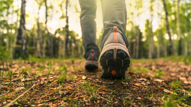 istock foot steps in the country side 2154428975