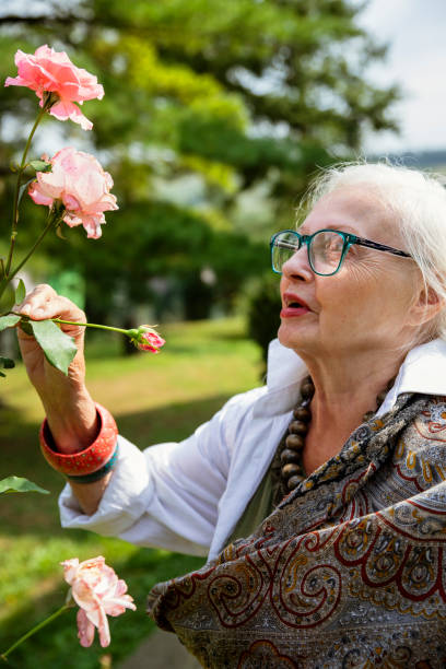 istock Her roses are blooming again! 2154430525