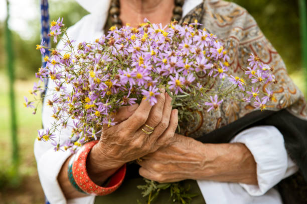Old female hands with wild flowers