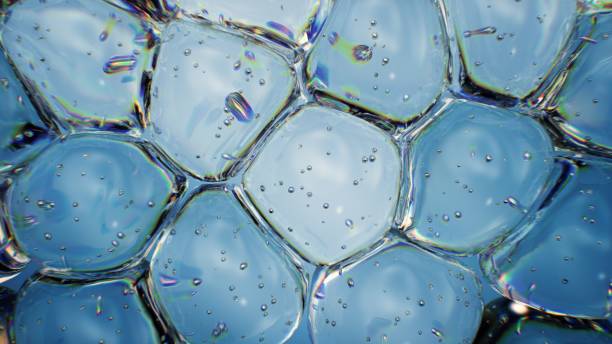 interconnected transparent glass bubbles, resembling bubbles in foam - kabarcık fiziki yapı stok fotoğraflar ve resimler
