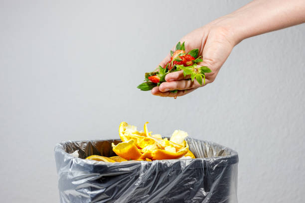 istock garbage bio waste. sorting and recycling of garbage 2154433398