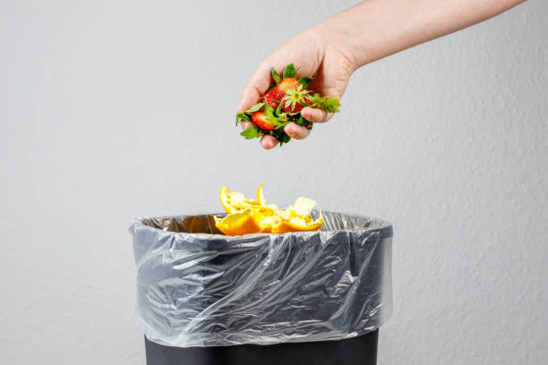 istock garbage can for bio waste. sorting and recycling of garbage 2154433400