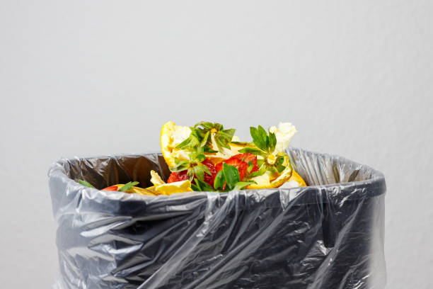 istock bio waste. bio waste container. bio waste sorting at home. bio waste 2154433486