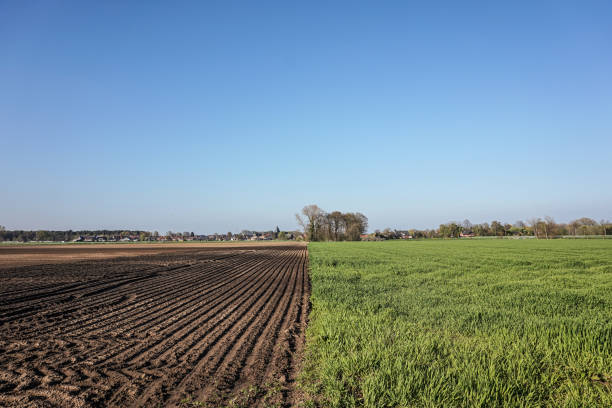 istock Crop field in northern Germany 2154435838