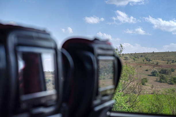 Group of carefree women riding in a jeep during wildlife exploration of nature reserve. Focus is on woman using binoculars.