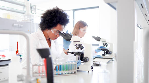 istock Female lab specialists at their workplace 2154438503