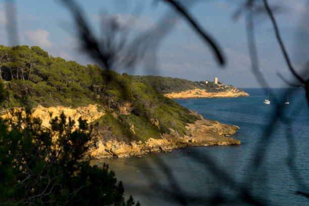 istock Fonda beach (Cala Fonda) and La Marquesa pine forest with the Mora tower and the cliffs in the background in a sunny day. Tarragona, Catalonia, Spain. 2154441674