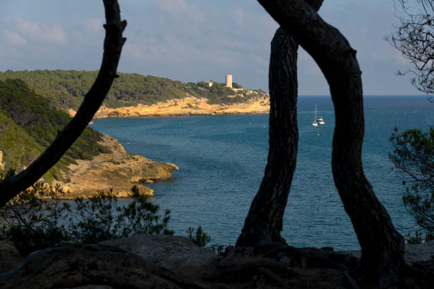 istock Fonda beach (Cala Fonda) and La Marquesa pine forest with the Mora tower and the cliffs in the background in a sunny day. Tarragona, Catalonia, Spain. 2154441675