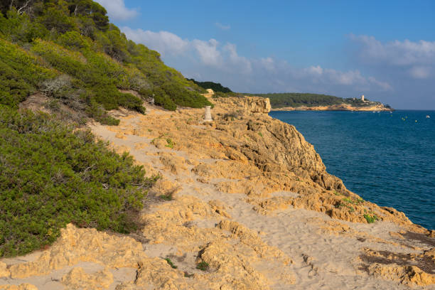istock La Marquesa pine forest with the Mora tower and the cliffs in the background in a sunny day. Tarragona, Catalonia, Spain. 2154441702