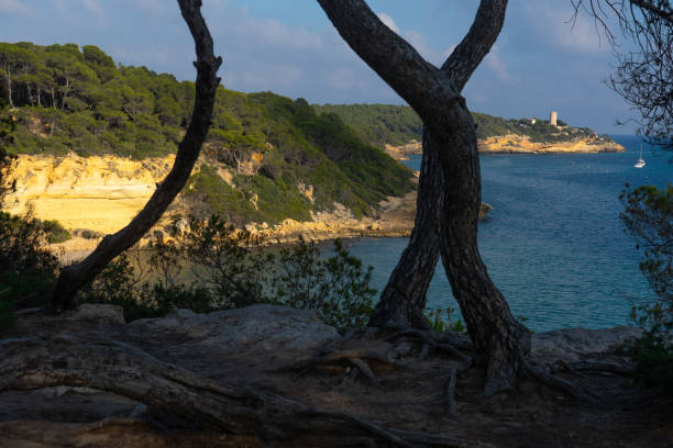 istock Fonda beach (Cala Fonda) and La Marquesa pine forest with the Mora tower and the cliffs in the background in a sunny day. Tarragona, Catalonia, Spain. 2154441710