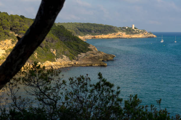 istock Fonda beach (Cala Fonda) and La Marquesa pine forest with the Mora tower and the cliffs in the background in a sunny day. Tarragona, Catalonia, Spain. 2154441722
