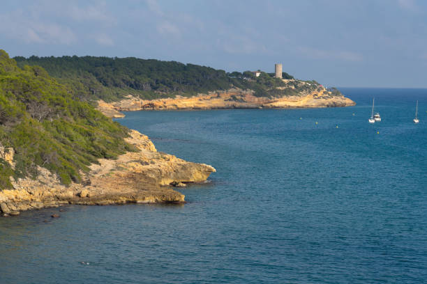 istock Fonda beach (Cala Fonda) and La Marquesa pine forest with the Mora tower and the cliffs in the background in a sunny day. Tarragona, Catalonia, Spain. 2154441723