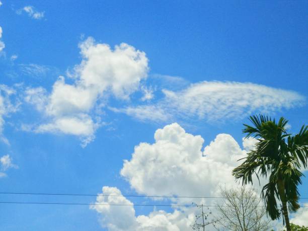 view of green plains and blue sky clouds