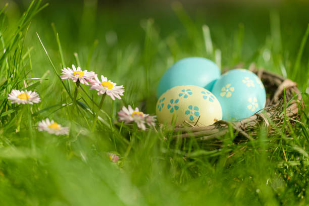 istock Colorful Easter nest in the grass 2154446444