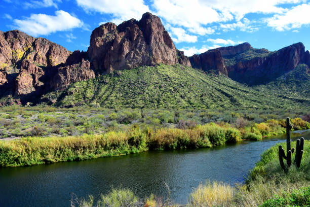 istock Salt River Recreation Area Arizona 2154447337