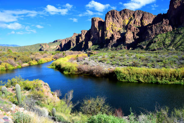 istock Salt River Recreation Area Arizona 2154447474