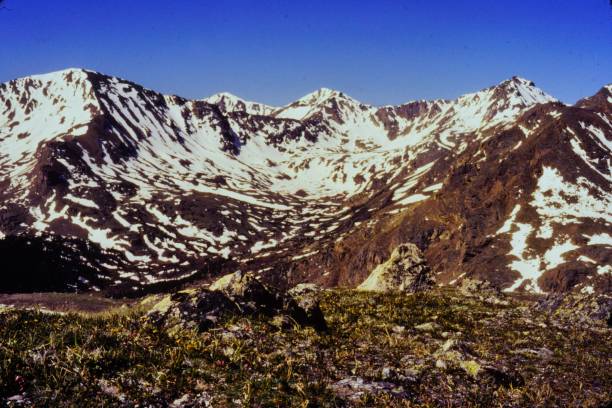 istock Snowy summer in 1981 on Mount Massive Colorado 2154451739