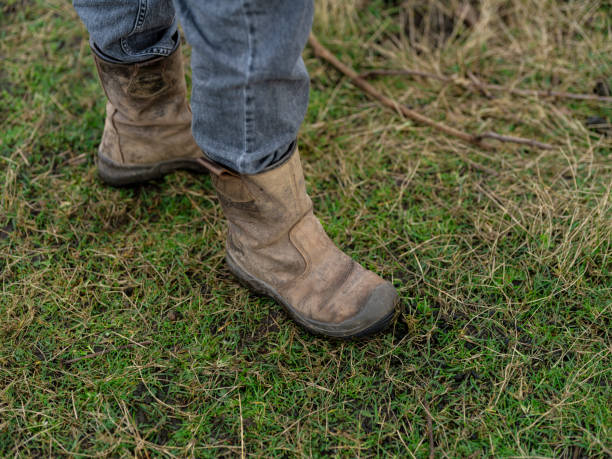 istock these boots are made for gardening 2154454605