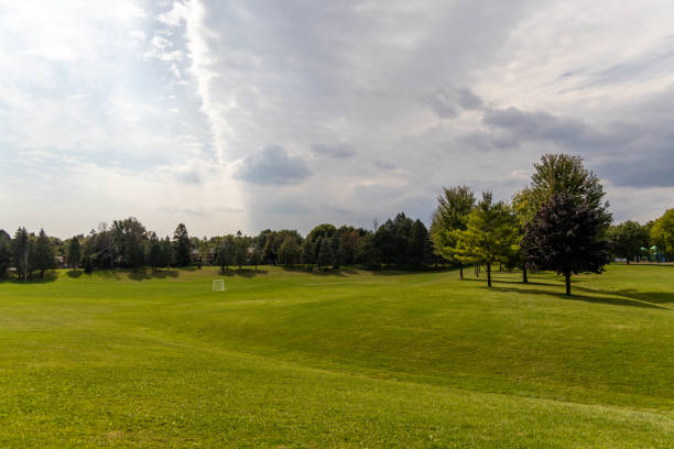 Vast green grassy field - partly cloudy sky - scattered trees - soft shadows - white goal post and residential area in background