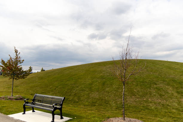 Black park bench under lush green hill  - overcast sky. Taken in Toronto, Canada.