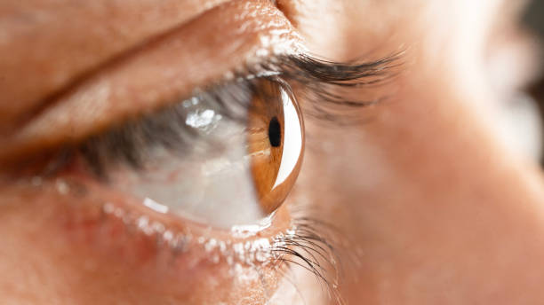 istock Macro shot of female eye 2154465081