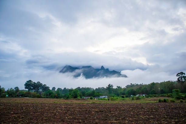 Beautiful rainy season mist clouds covering the mountains