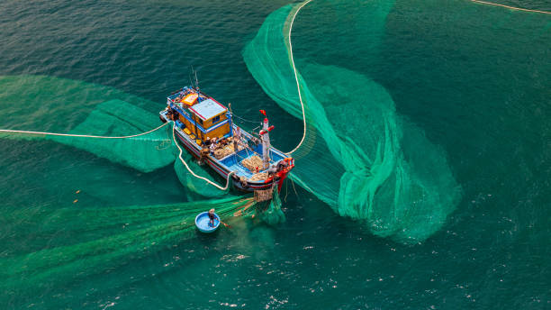 istock Netting fish on Dai Lanh sea 2154467888