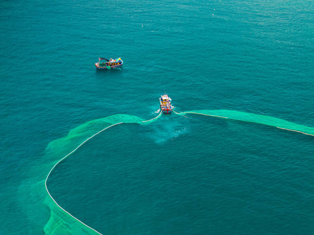 istock Netting fish on Dai Lanh sea 2154467894