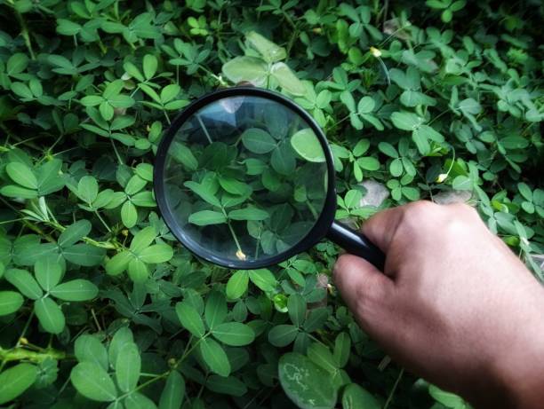 istock Hand holding magnifying glass searching on 2154470998