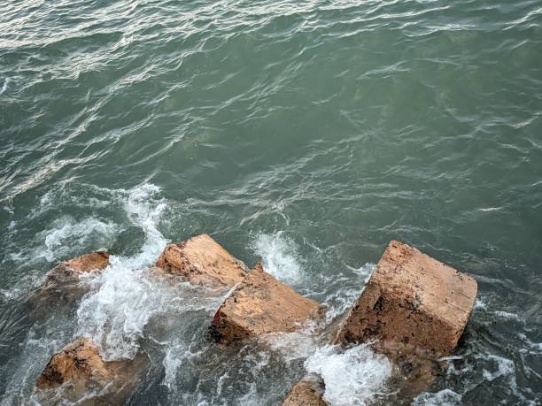 Concrete breakwater blocks on the coastline
