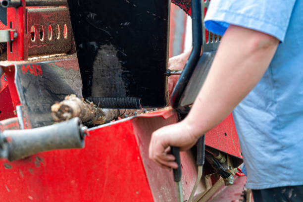 istock A man chops firewood with a wood chipper 2154475584
