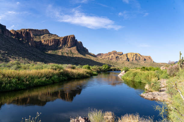istock Morning Along The Lower Salt River 2154476048