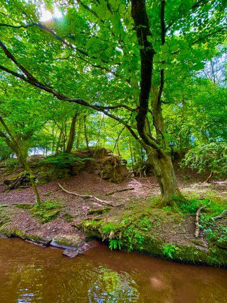 istock The Monmouthshire and Brecon Canal 2154480904