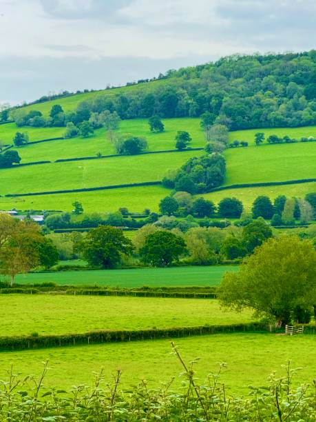 istock The Monmouthshire and Brecon Canal 2154482706